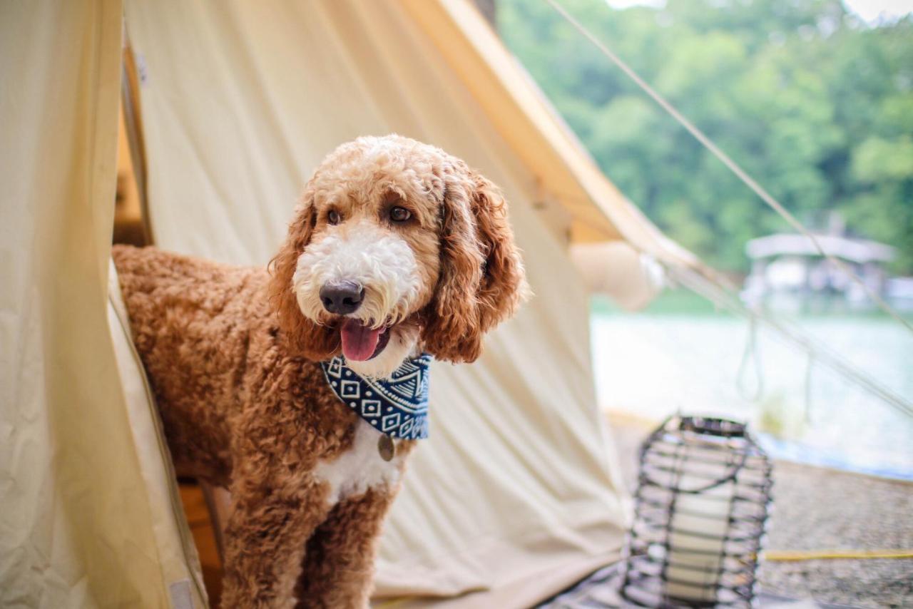 Hotel Timberline Glamping At Unicoi State Park Helen Exterior foto